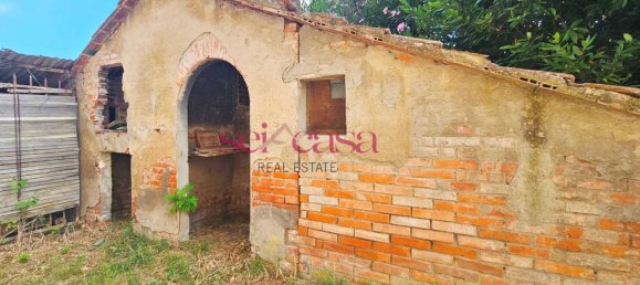 5-Zimmer Haus in Grosseto, Italy, Nr. 289626 17