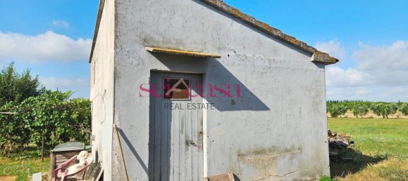 5-Zimmer Haus in Grosseto, Italy, Nr. 289626 15