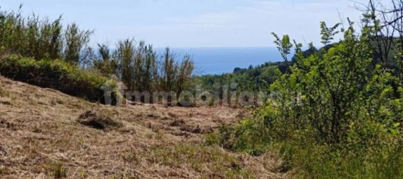  قطعة أرض في Silvi, Italy 2800متر مربع رقم 88130 8