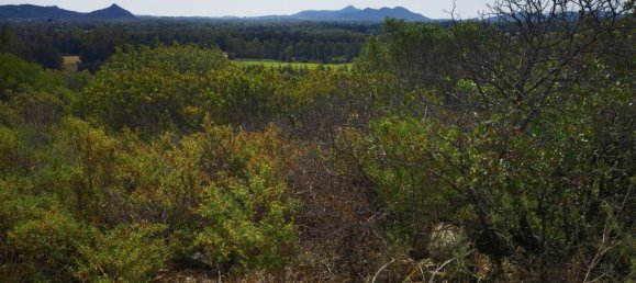 2 rooms House in Sardinia, Italy No. 248093 4