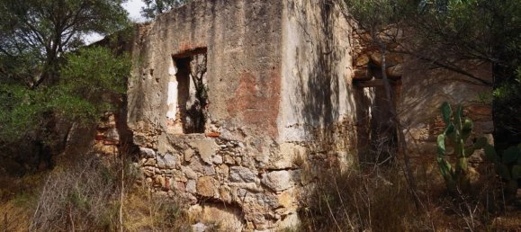 2 rooms House in Sardinia, Italy No. 248093 2