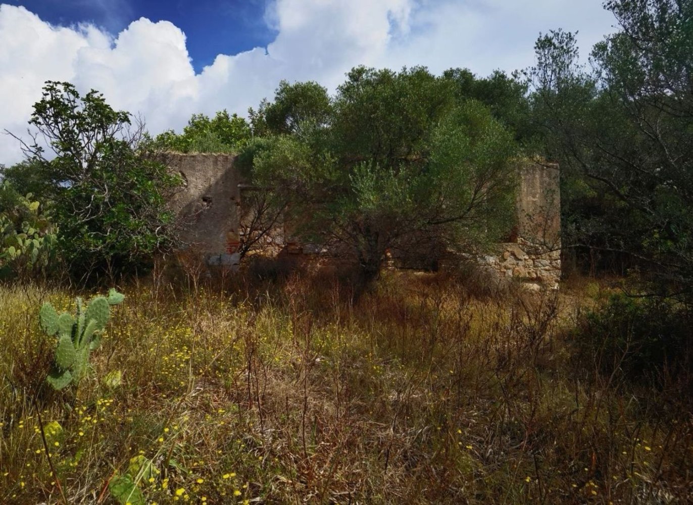 2 rooms House in Sardinia, Italy No. 248093