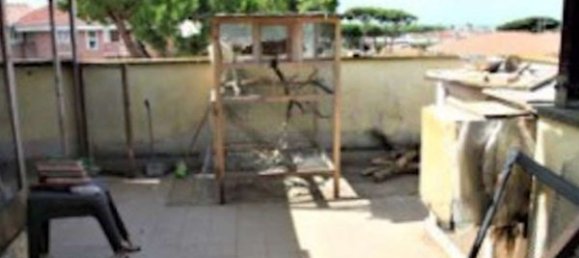 Apartamento de 2 habitaciónes en Ardea, Italy No. 202054 6