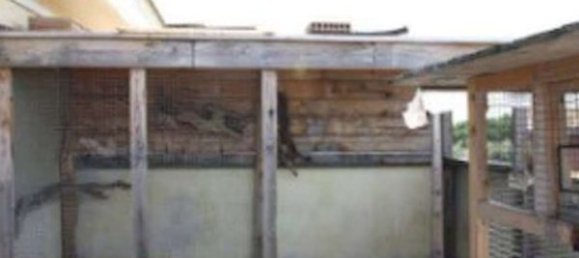 Apartamento de 2 habitaciónes en Ardea, Italy No. 202054 8