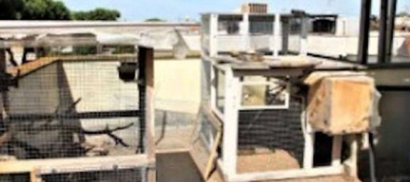 Apartamento de 2 habitaciónes en Ardea, Italy No. 202054 7