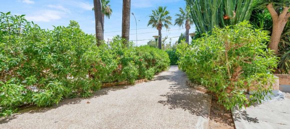 2 bedrooms Apartment in Nova Santa Ponsa, Spain No. 167557 27