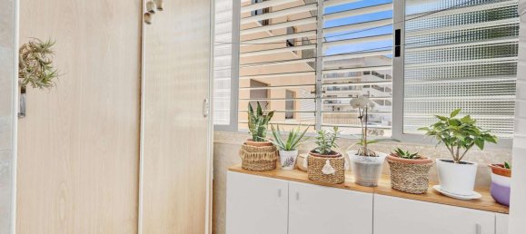 2 bedrooms Apartment in Nova Santa Ponsa, Spain No. 167557 21