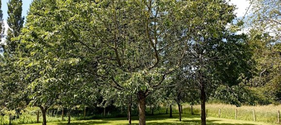 4 Schlafzimmer Schlösser in Manche, France, Nr. 306990 9