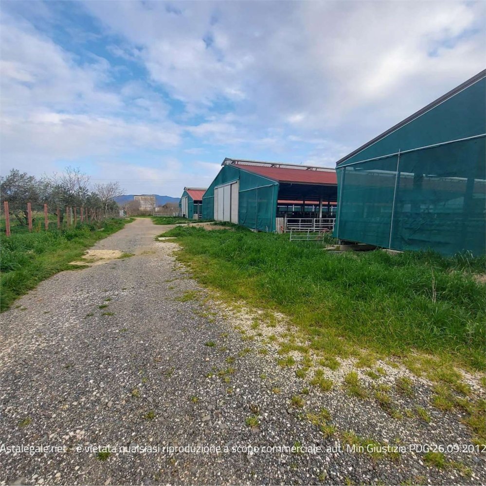 Propiedad comercial en Vairano Patenora, Italy 1000 m² No. 395929