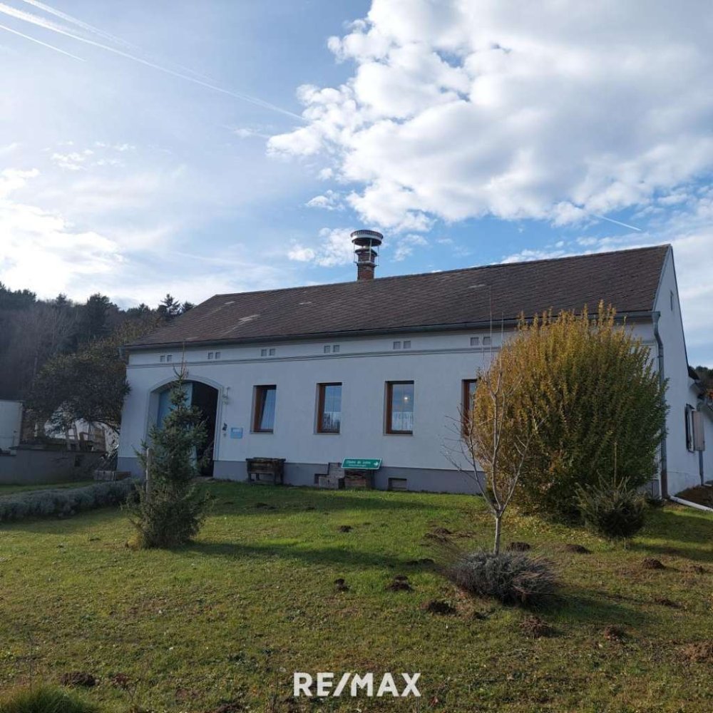 Дом с 5 спальнями в Штегерсбах, Австрия № 115952