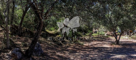 3 bedrooms House in Faro, Portugal No. 138841 23