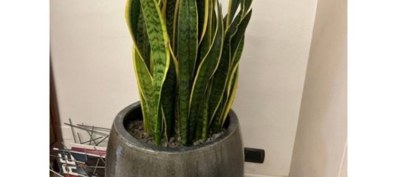 3 chambres Appartement à Bedizzole, Italy No. 125040 16