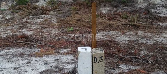 5000m² Land in Grandola, Portugal No. 44294 4