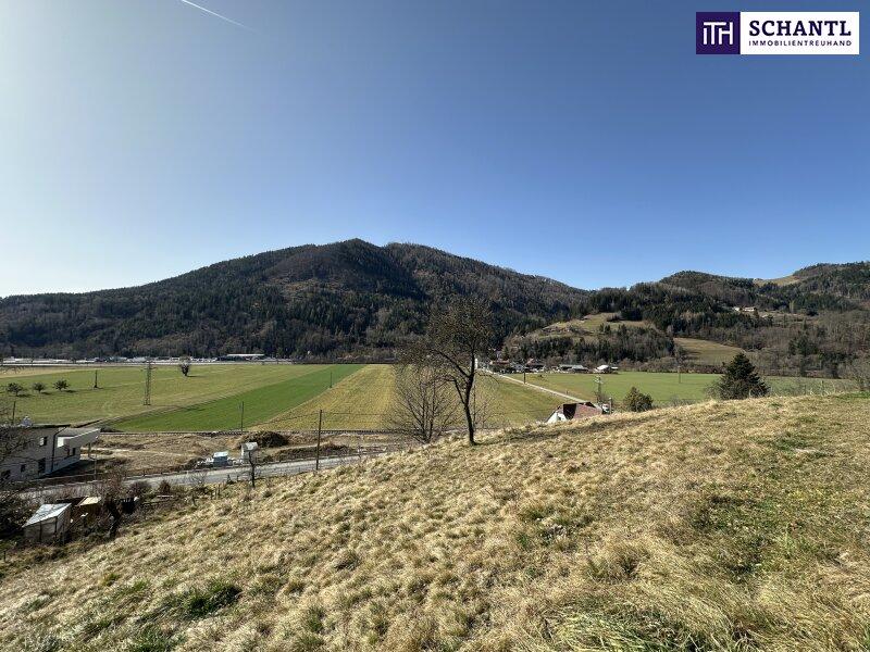 Terrain à Deutschfeistritz, Austria No. 203779