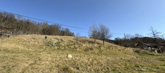 Terrain à Deutschfeistritz, Austria No. 203779 16