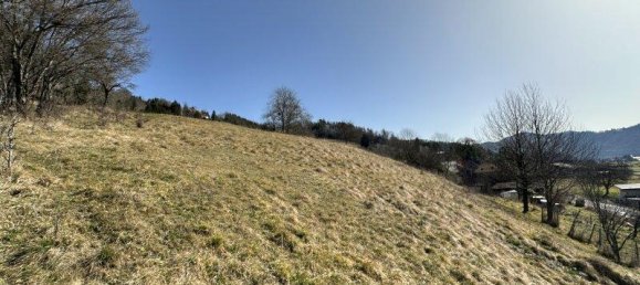 Terrain à Deutschfeistritz, Austria No. 203779 12