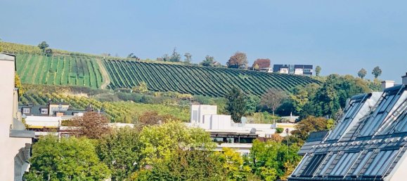 3 bedrooms Penthouse in Dobling, Austria No. 255789 4