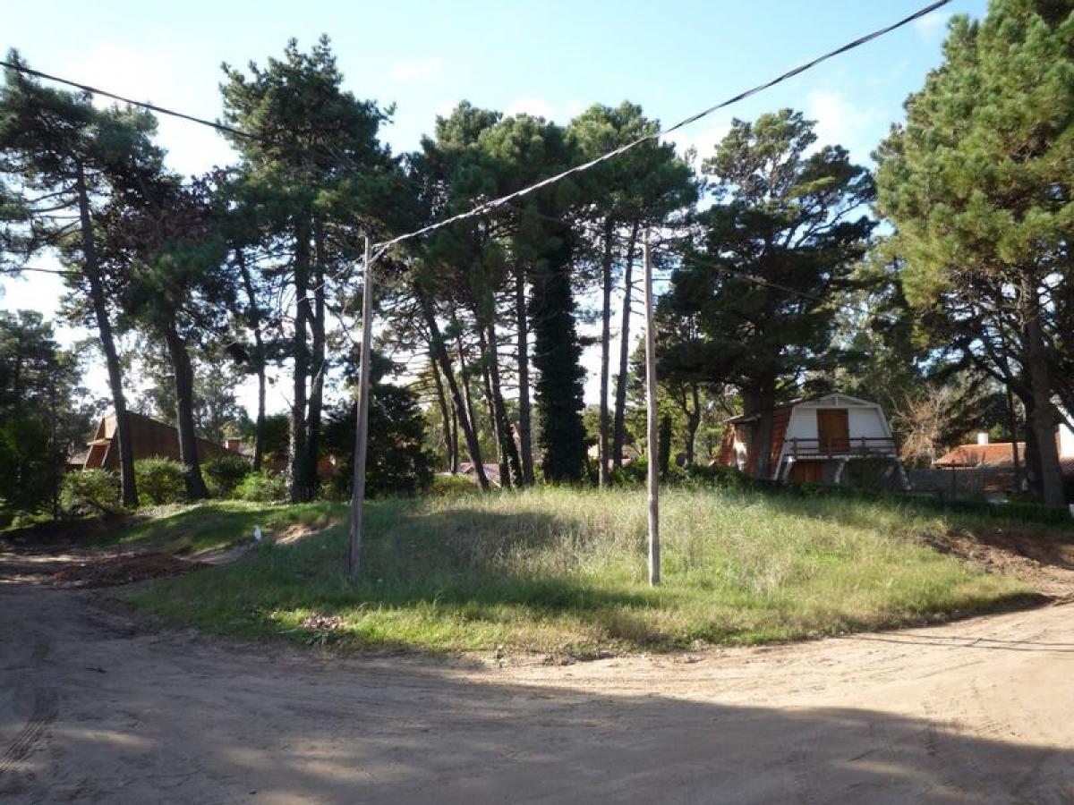  Land in Mar del Plata, Argentina No. 117835