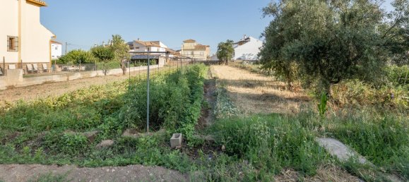 1060m² Land in La Zubia, Spain No. 147128 15