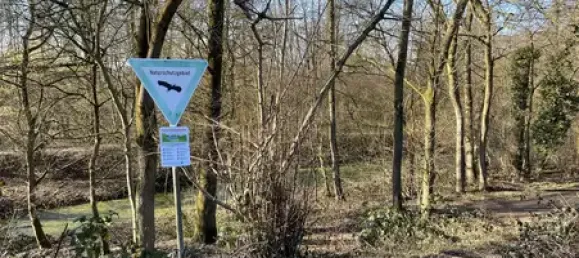 2 bedrooms Bungalow in Dusseldorf, Germany No. 62238 5