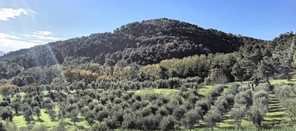 12 rooms House in Chianni, Italy No. 141359 20