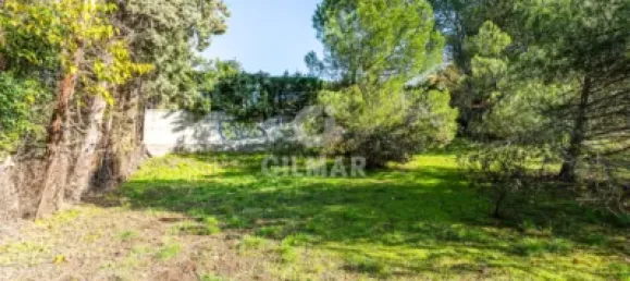  قطعة أرض في Las Rozas de Madrid, Spain 1285متر مربع رقم 176794 16