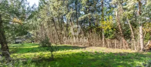  قطعة أرض في Las Rozas de Madrid, Spain 1285متر مربع رقم 176794 14