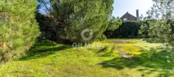  قطعة أرض في Las Rozas de Madrid, Spain 1285متر مربع رقم 176794 13