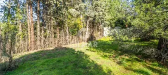  قطعة أرض في Las Rozas de Madrid, Spain 1285متر مربع رقم 176794 22