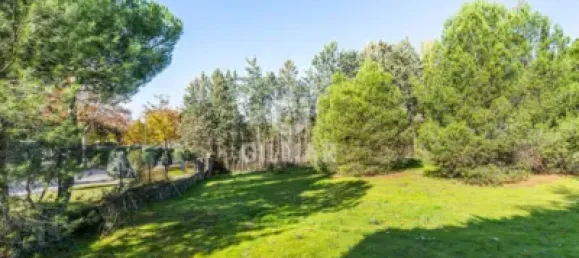  قطعة أرض في Las Rozas de Madrid, Spain 1285متر مربع رقم 176794 3