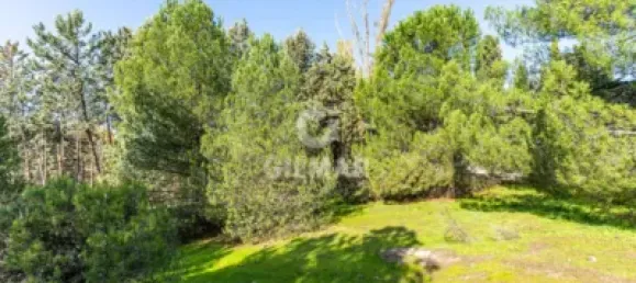  قطعة أرض في Las Rozas de Madrid, Spain 1285متر مربع رقم 176794 10