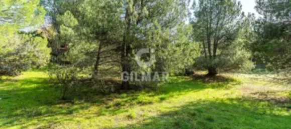  قطعة أرض في Las Rozas de Madrid, Spain 1285متر مربع رقم 176794 17