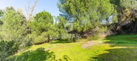  قطعة أرض في Las Rozas de Madrid, Spain 1285متر مربع رقم 176794 9