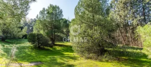  قطعة أرض في Las Rozas de Madrid, Spain 1285متر مربع رقم 176794 11