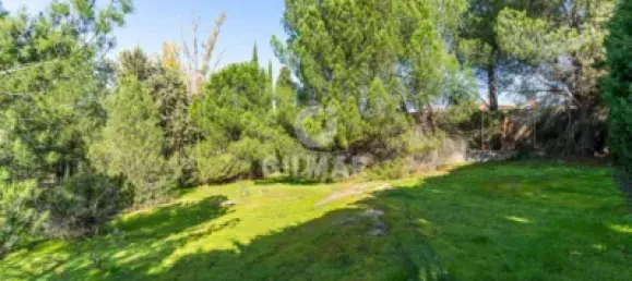  قطعة أرض في Las Rozas de Madrid, Spain 1285متر مربع رقم 176794 6