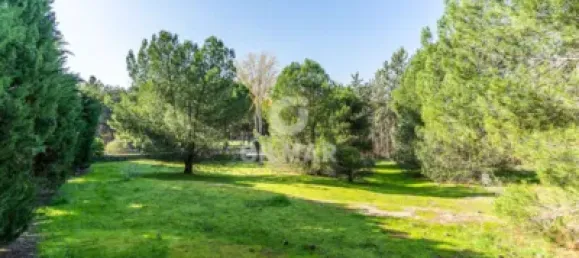  قطعة أرض في Las Rozas de Madrid, Spain 1285متر مربع رقم 176794 8