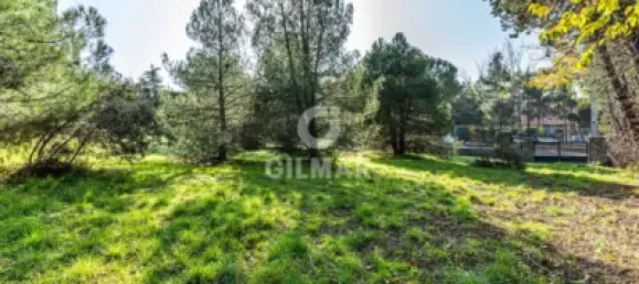  قطعة أرض في Las Rozas de Madrid, Spain 1285متر مربع رقم 176794 15