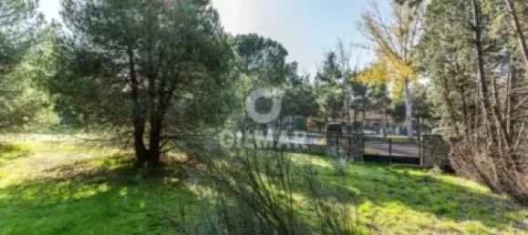  قطعة أرض في Las Rozas de Madrid, Spain 1285متر مربع رقم 176794 19
