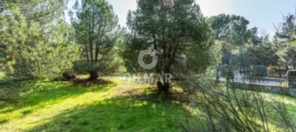  قطعة أرض في Las Rozas de Madrid, Spain 1285متر مربع رقم 176794 18