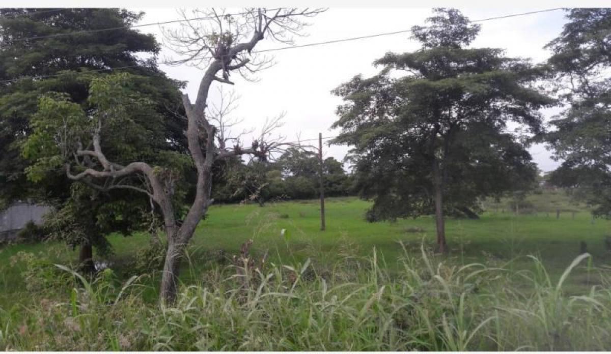 Terreno en Veracruz, Mexico No. 204800