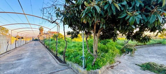 4 bedrooms House in Entroncamento, Portugal No. 119568 33