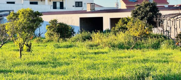 4 bedrooms House in Entroncamento, Portugal No. 119568 23