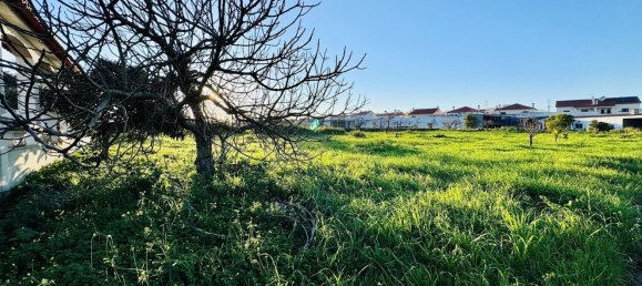 4 bedrooms House in Entroncamento, Portugal No. 119568 20