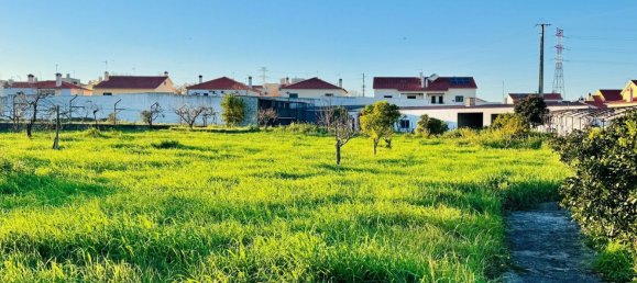 4 bedrooms House in Entroncamento, Portugal No. 119568 18