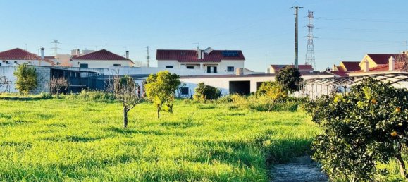 4 bedrooms House in Entroncamento, Portugal No. 119568 19