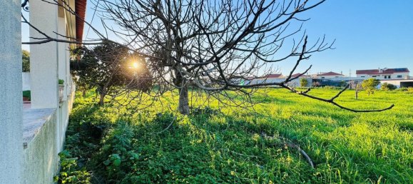 4 bedrooms House in Entroncamento, Portugal No. 119568 21