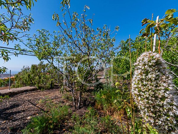 3 bedrooms House in San Miguel de Abona, Spain No. 129971