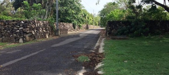 Земельный участок в Либерия, Коста-Рика № 1784 2