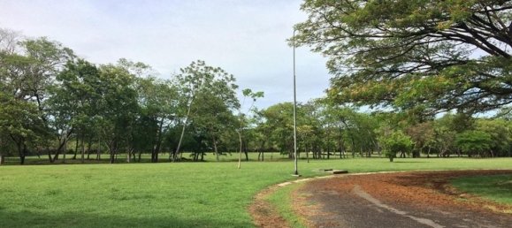 Земельный участок в Либерия, Коста-Рика № 1784 4