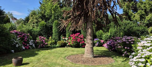 7-Zimmer Stadthaus in Solingen, Germany, Nr. 231581 3